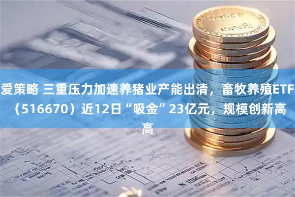 爱策略 三重压力加速养猪业产能出清，畜牧养殖ETF（516670）近12日“吸金”23亿元，规模创新高
